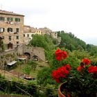 Volterra I