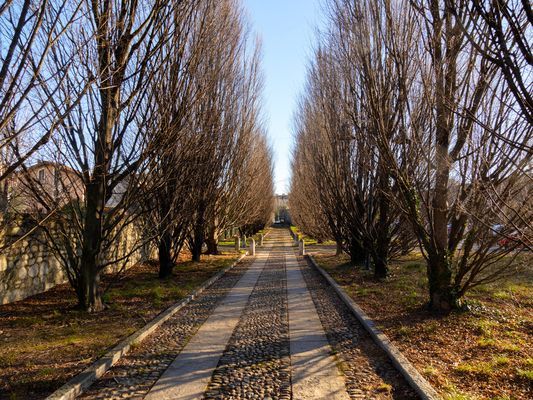 Voltorre, viale alberato