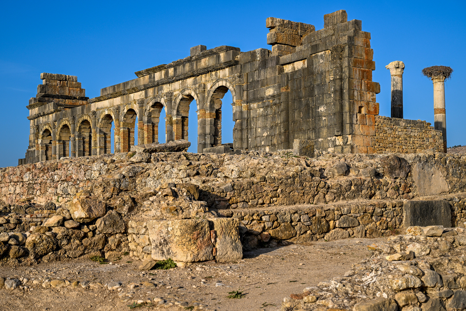 Volubilis 01