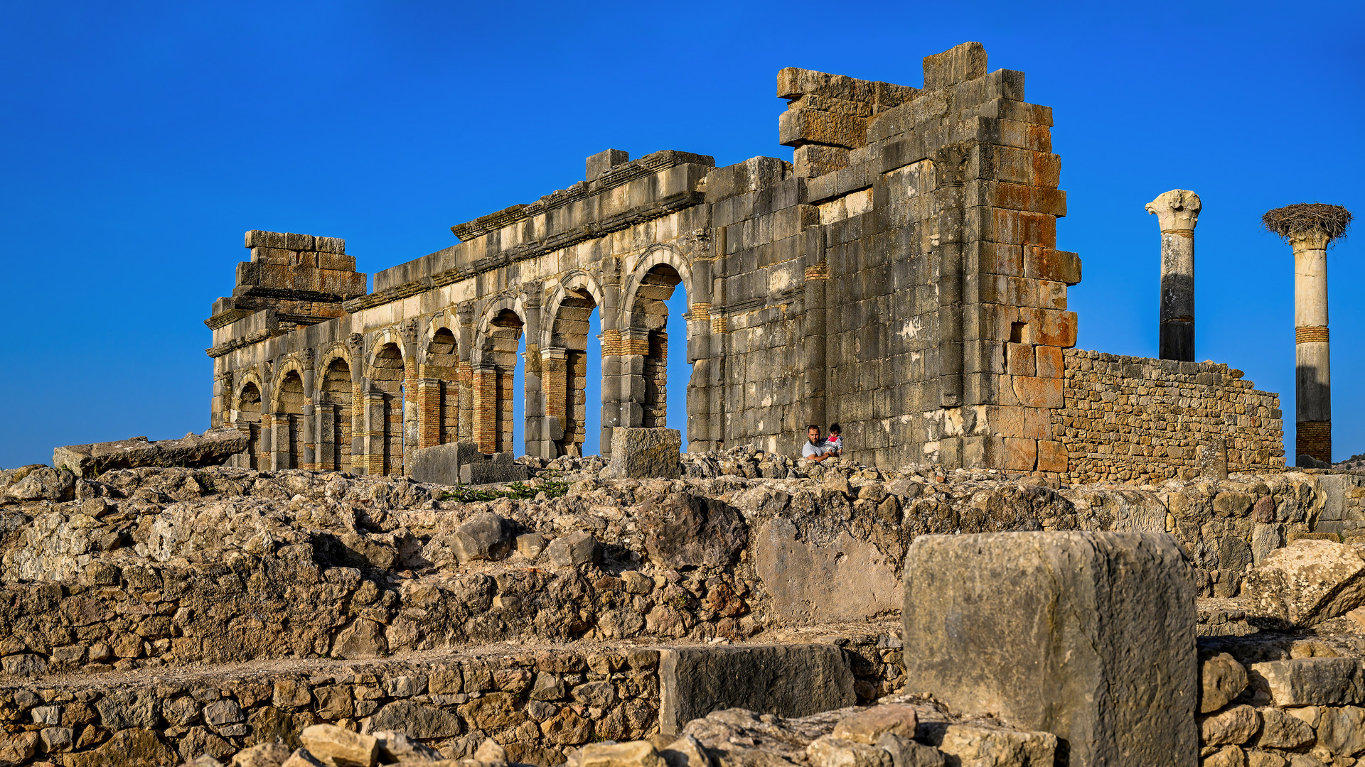 Volubilis 02