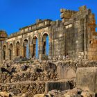 Volubilis 02