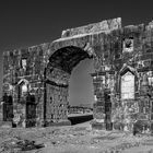 Volubilis 03