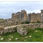 Volubilis 1