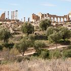 Volubilis - 1