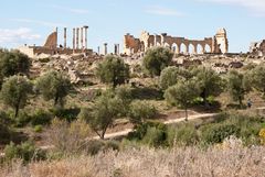 Volubilis - 1