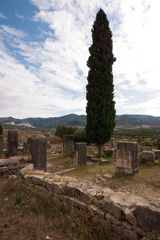 Volubilis - 2