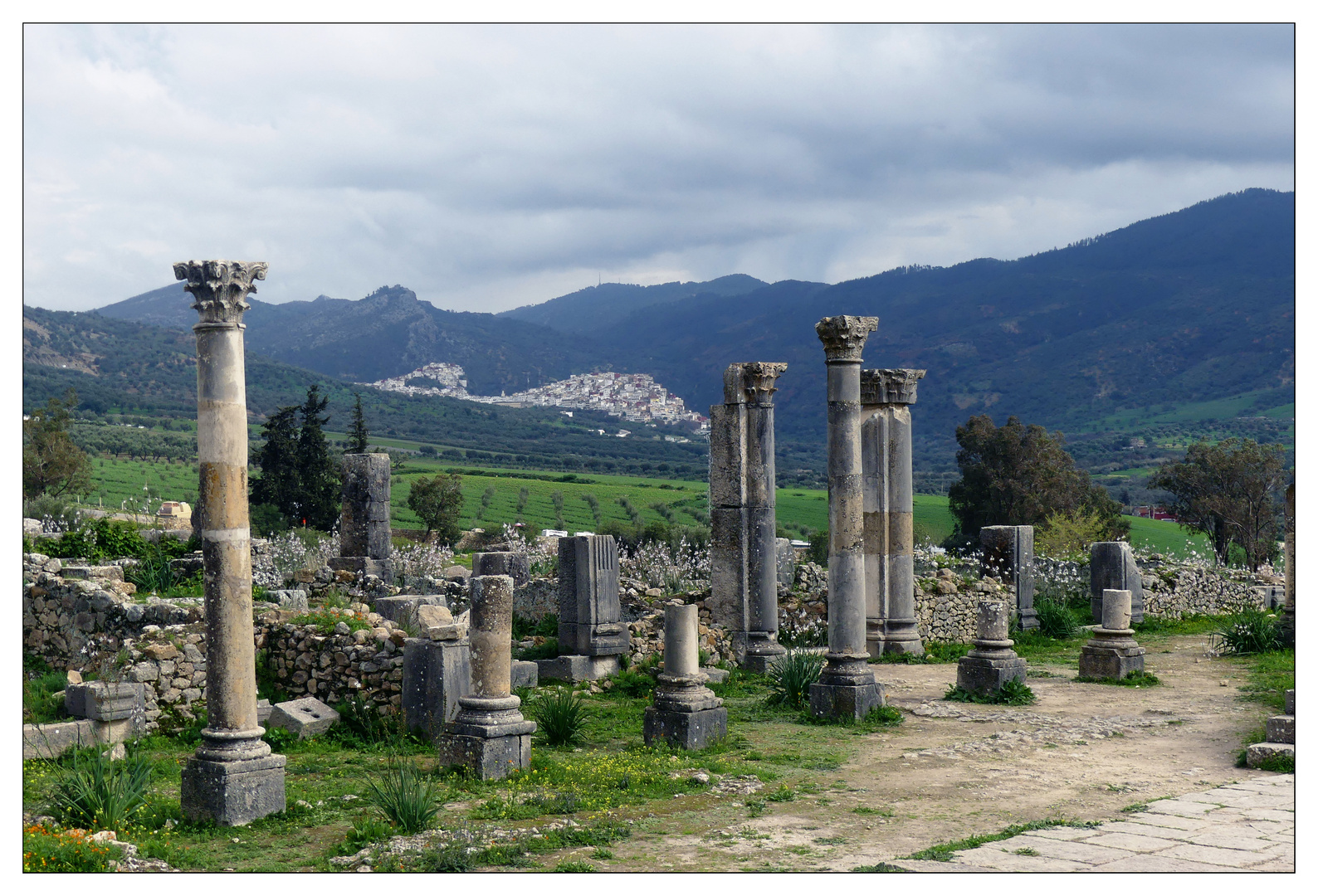 Volubilis 2