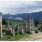 Volubilis 2