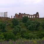 Volubilis