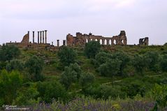 Volubilis