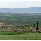 Volubilis 4