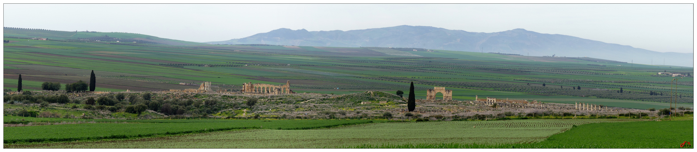 Volubilis 4