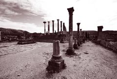 Volubilis - Capitol