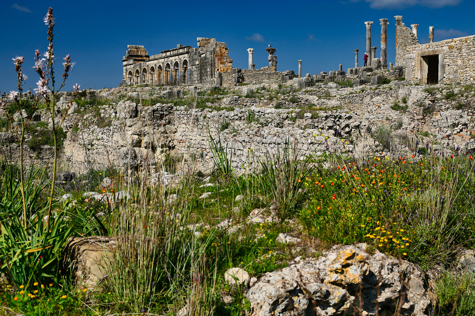 Volubilis in Marokko