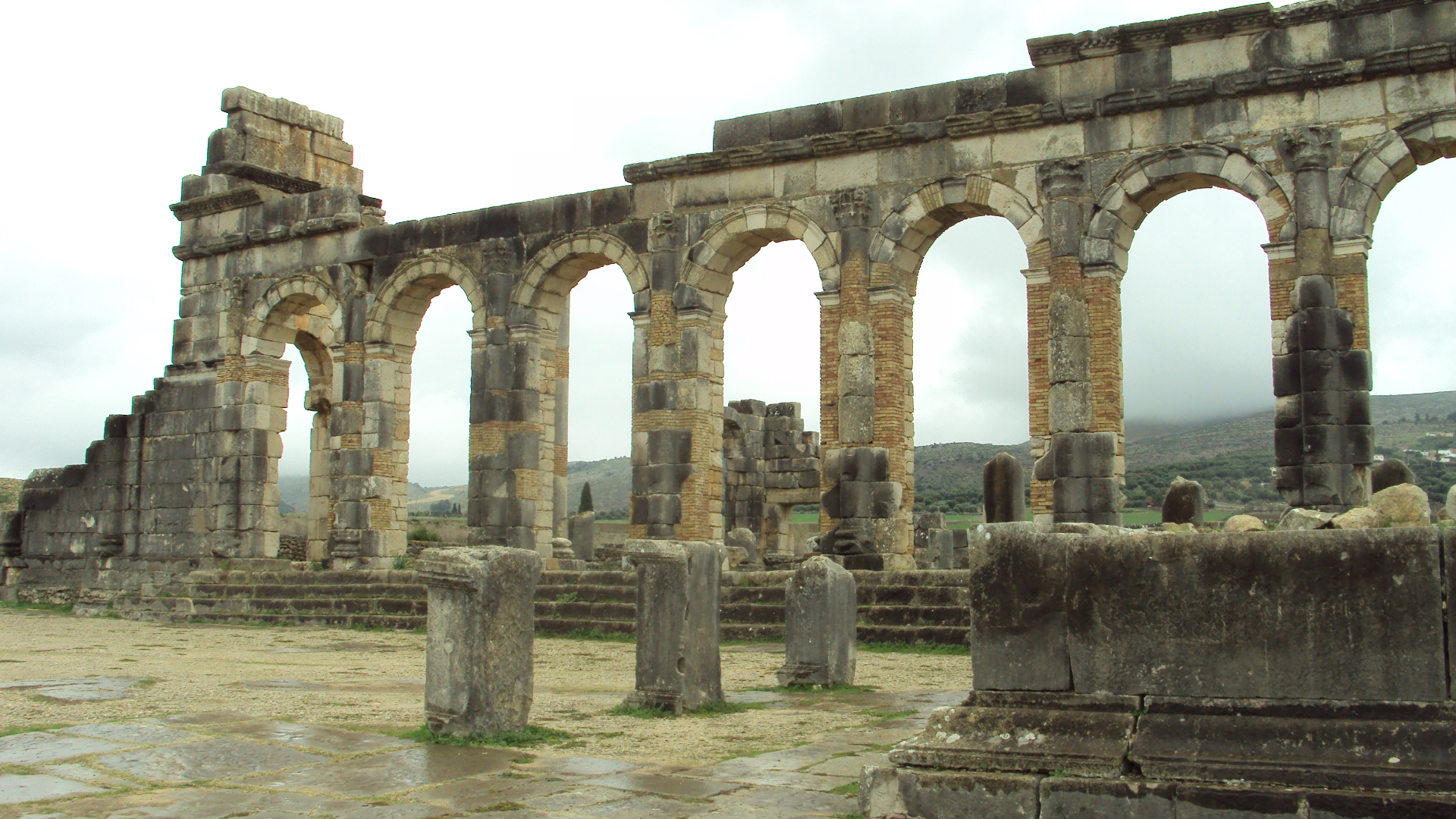 Volubilis .. Le forum