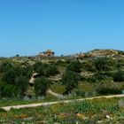 Volubilis Panoramablick über die Ruinenstätte