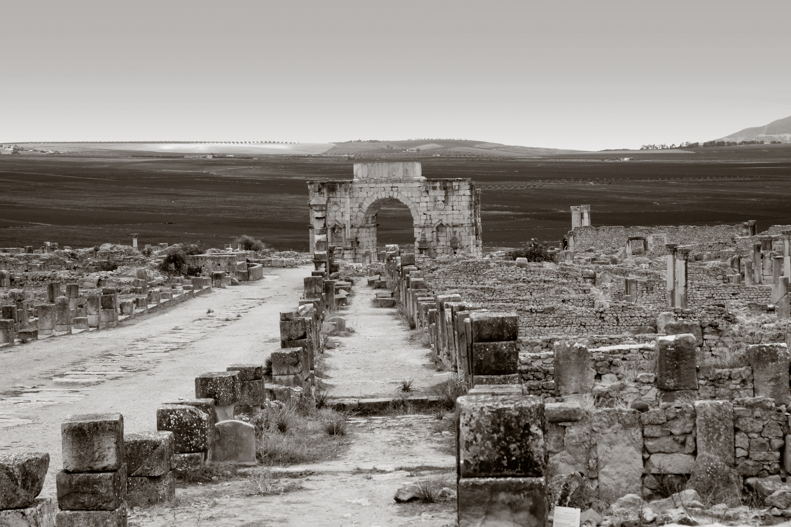 Volubilis Ruins