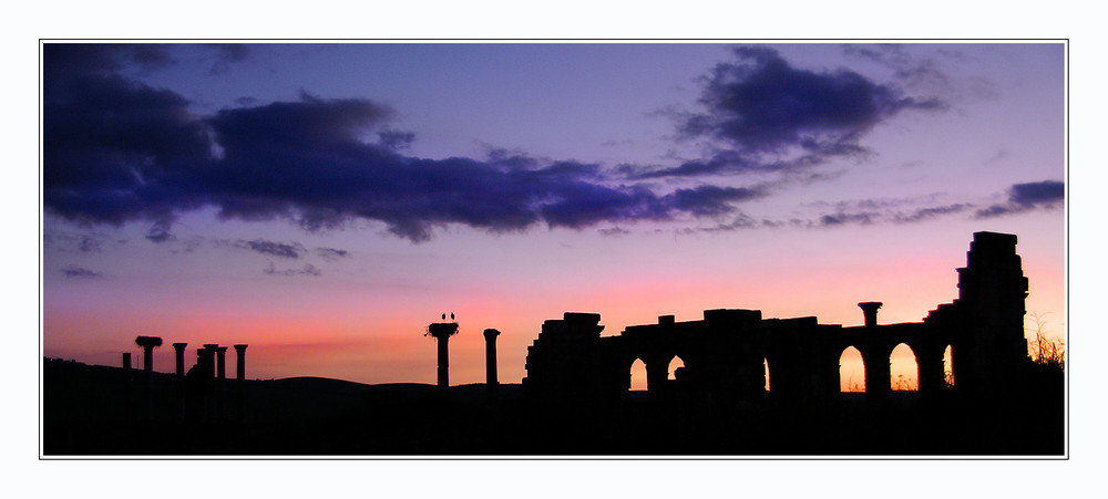 Volubilis Sunset