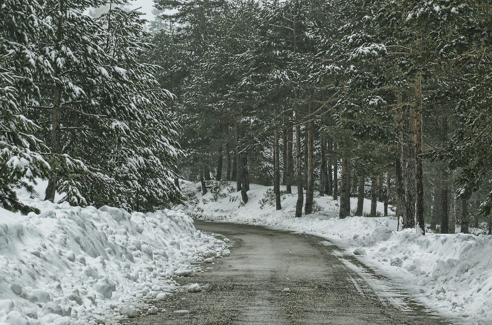 ...volver por Navidad... de  Marce de las Muelas