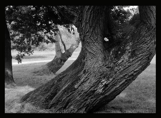 Volviendo al pasado 3