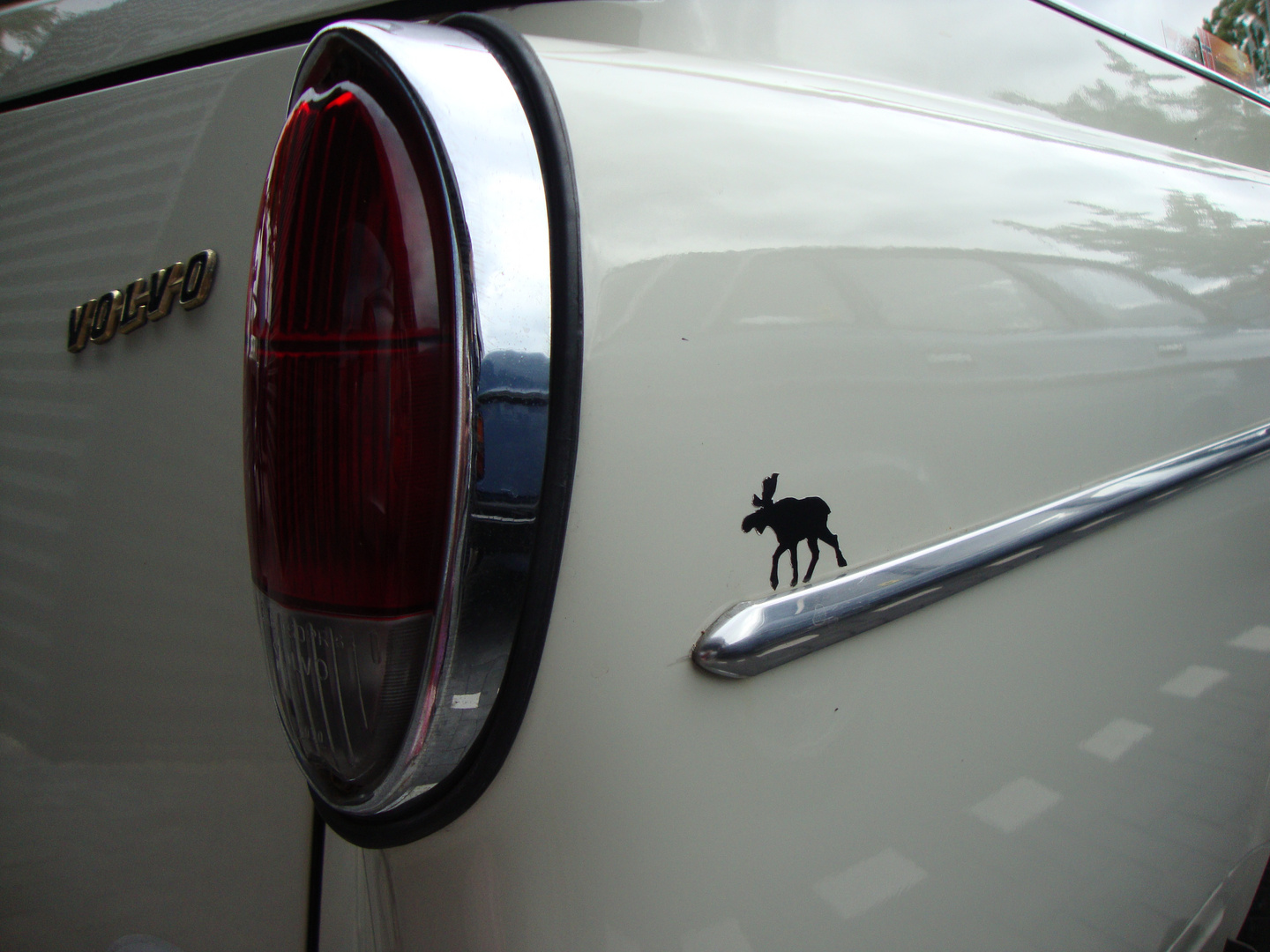 Volvo Amazon met eland