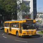 Volvo Bus in Funchal auf Maidera auf der Linie 8