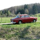 Volvo im Frühling