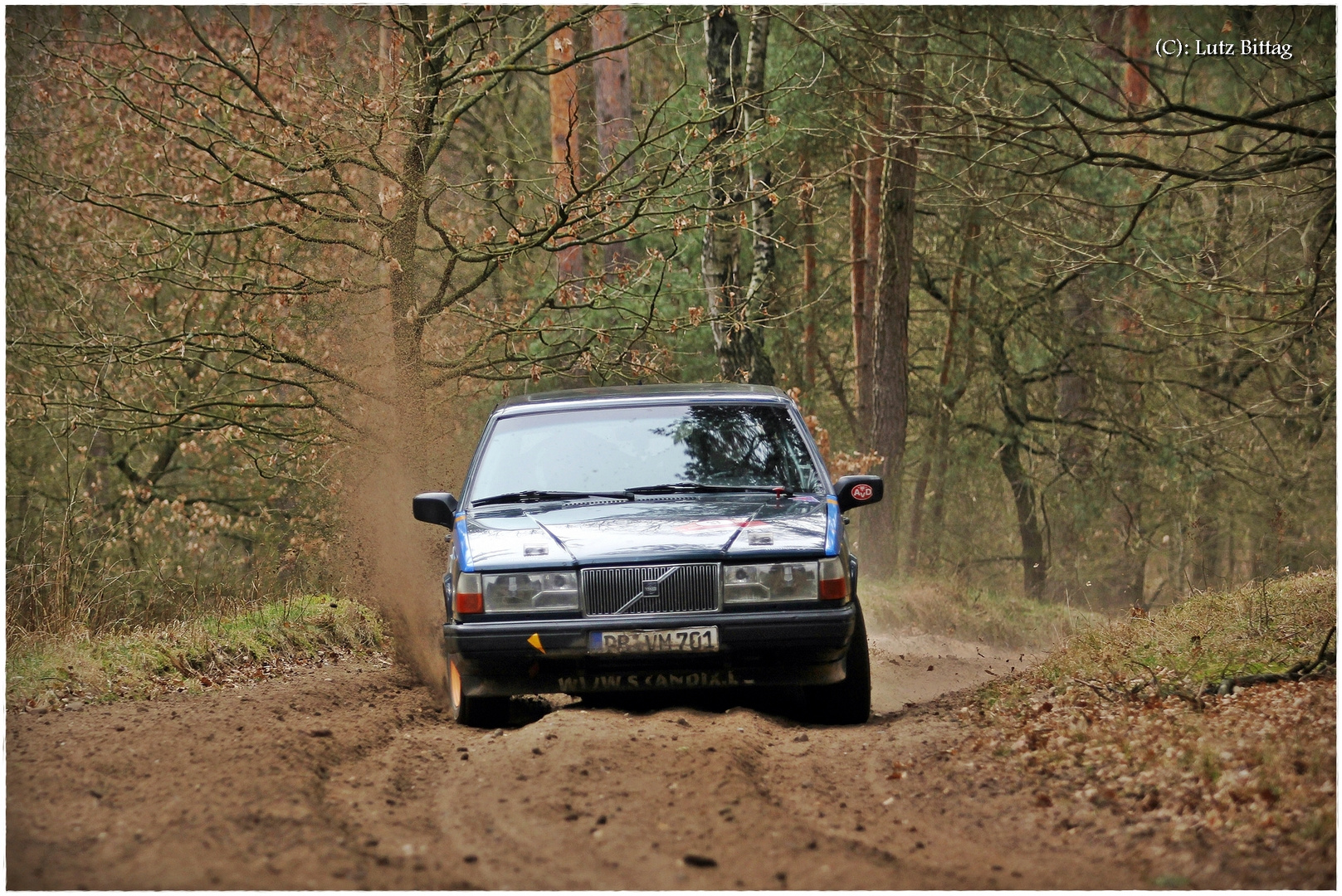 Volvo im Wald