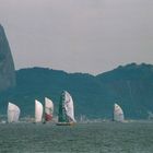 Volvo Ocean Race