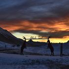 Vom Albulapass mit Blick ins Engadin