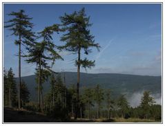 Vom Altkönig zum Feldberg