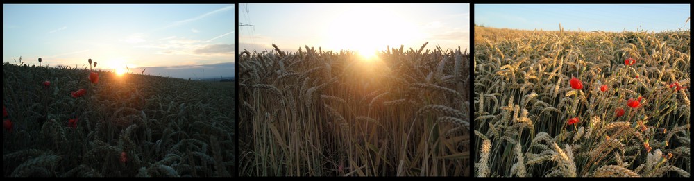 Vom Aufgang der Sonne...