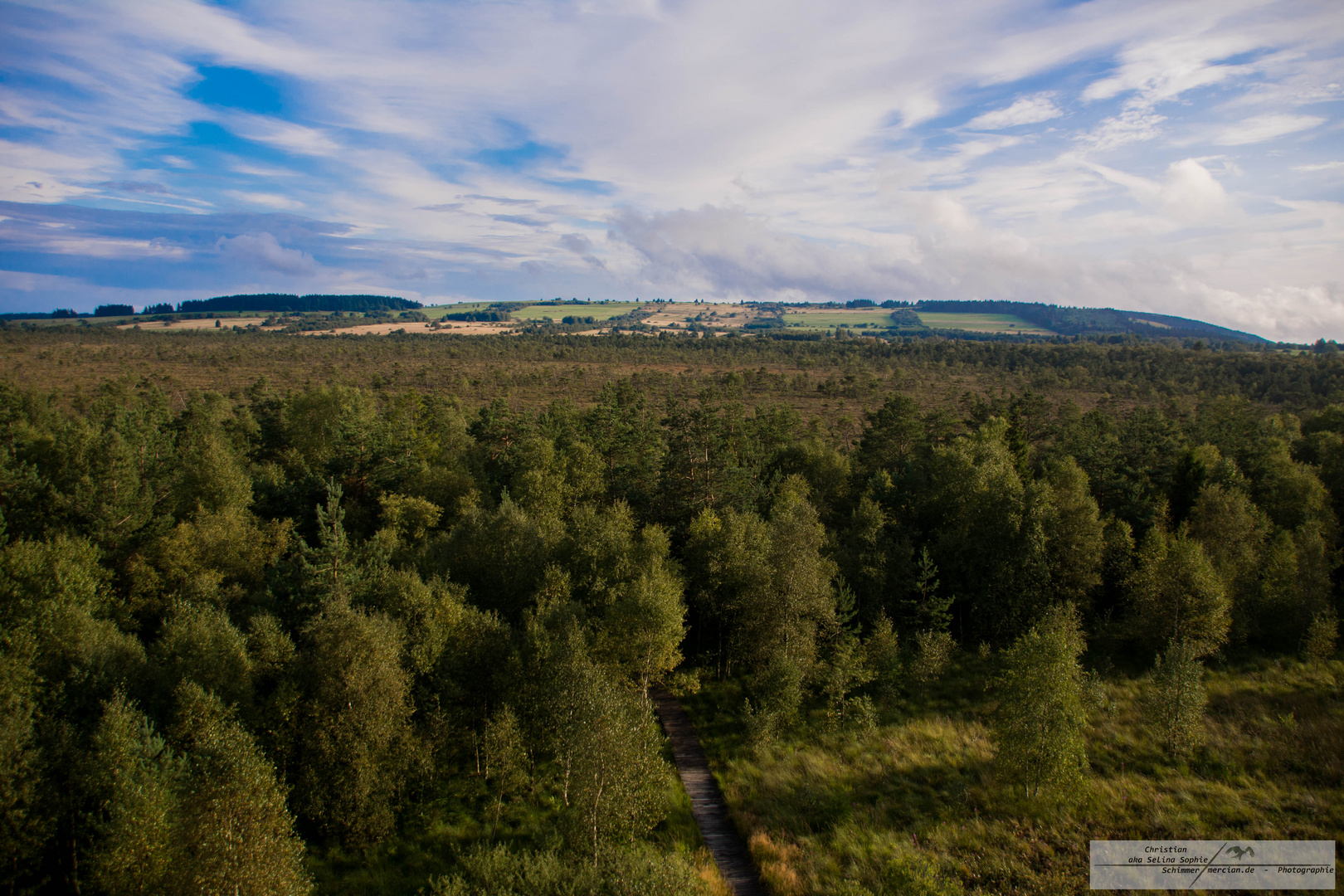 Vom Aussichtsturm im Schwarzen Moor