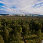 Vom Aussichtsturm im Schwarzen Moor