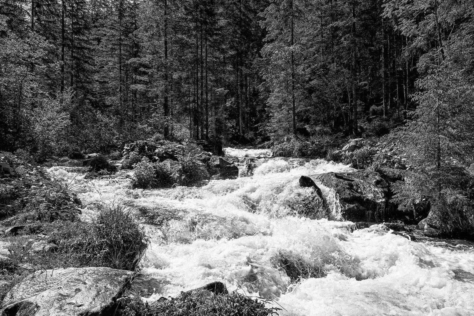 Vom Bach zum Fluss 02