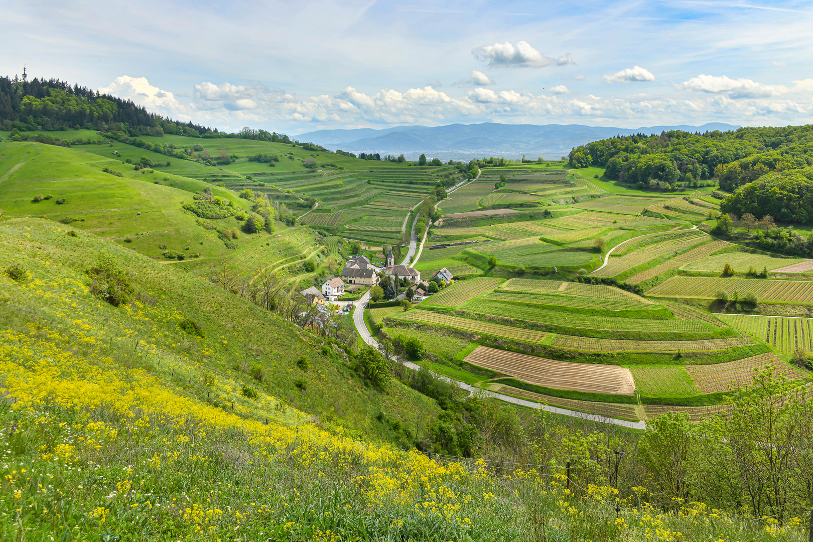 Vom Badberg zum Schwarzwald