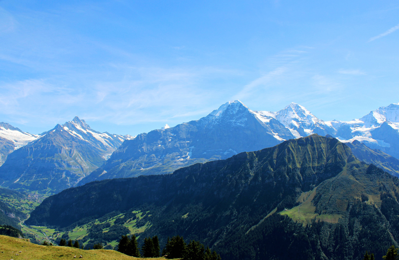 Vom Bärglistock bis zum Silberhorn ...