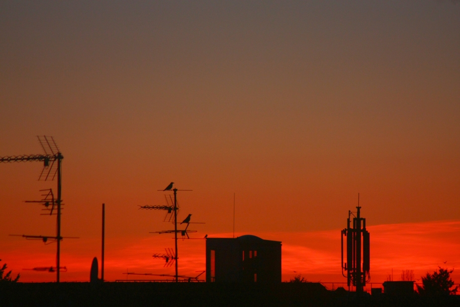 Vom Balkon 1 (März 2009)