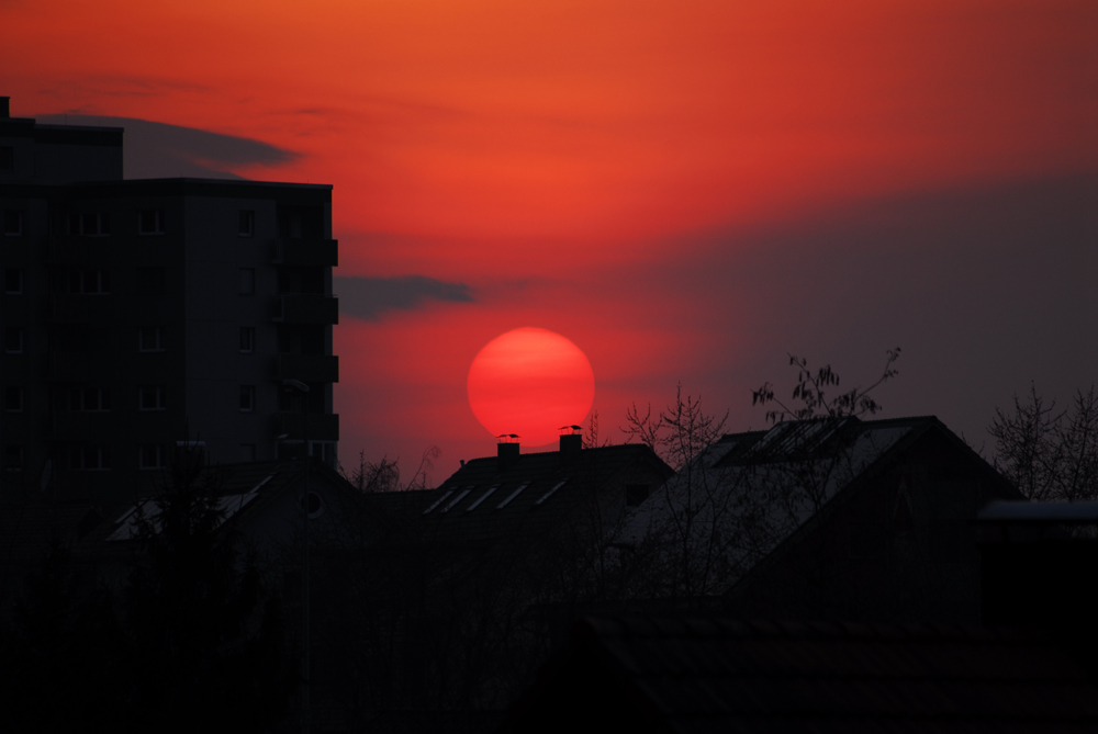 Vom Balkon