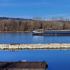 vom Bauer Schorsch über den Rhein zur Abtei St. Hildegard