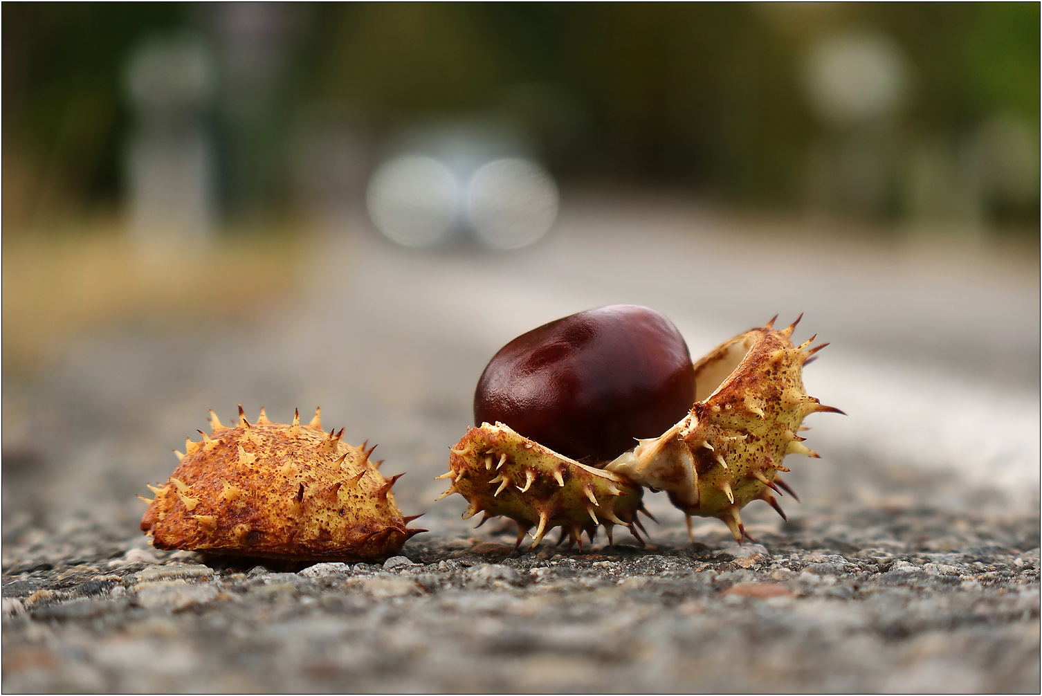 Vom Baum gefallen...