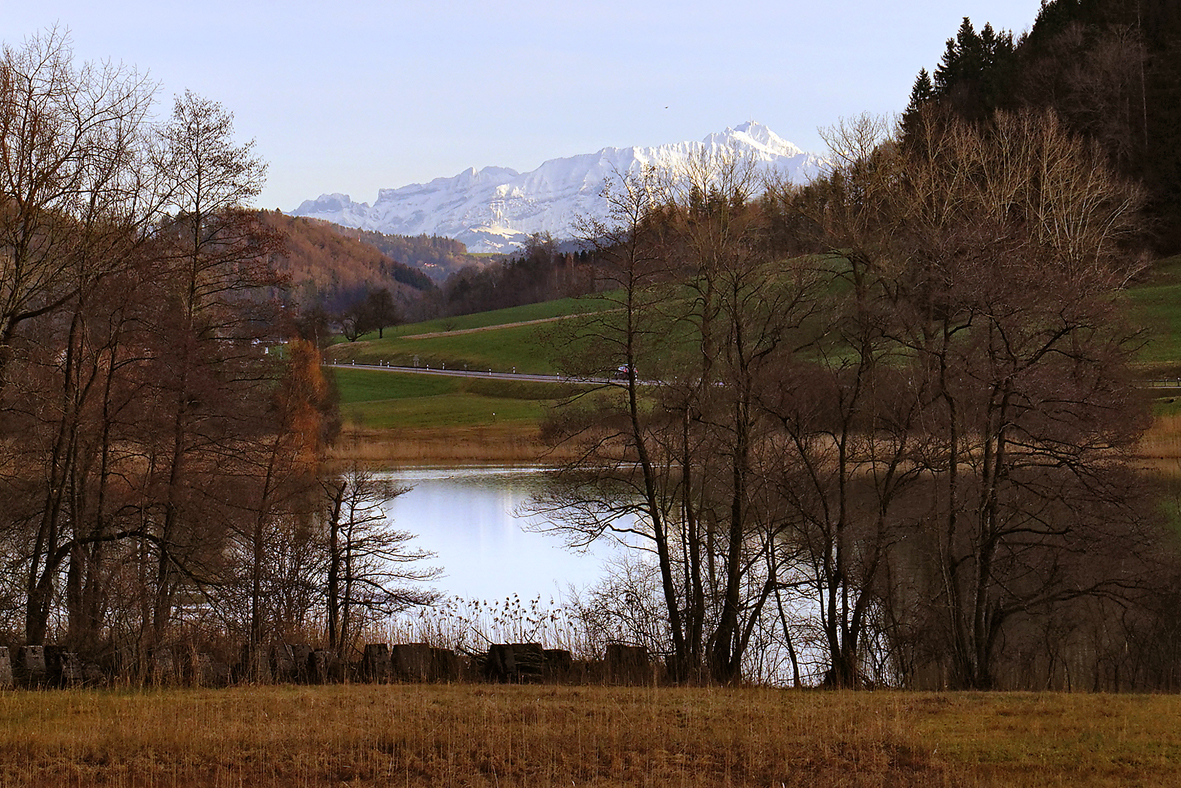 vom Bichelsee der Blick zum Alpstein