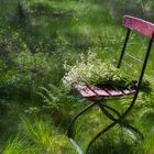 Vom Biergarten in den Wald