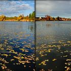 vom Boot Sperenberg Krummer See (3D-X-View)