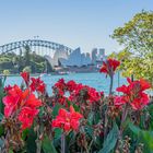 Vom botanischen Garten zum Hafen von Sydney