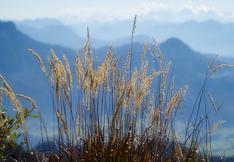 ... vom Breitenstein-Gipfel bei Schleching, Chiemgau