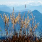 ... vom Breitenstein-Gipfel bei Schleching, Chiemgau