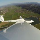 Vom Bussard verfolgt