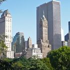 vom Central Park