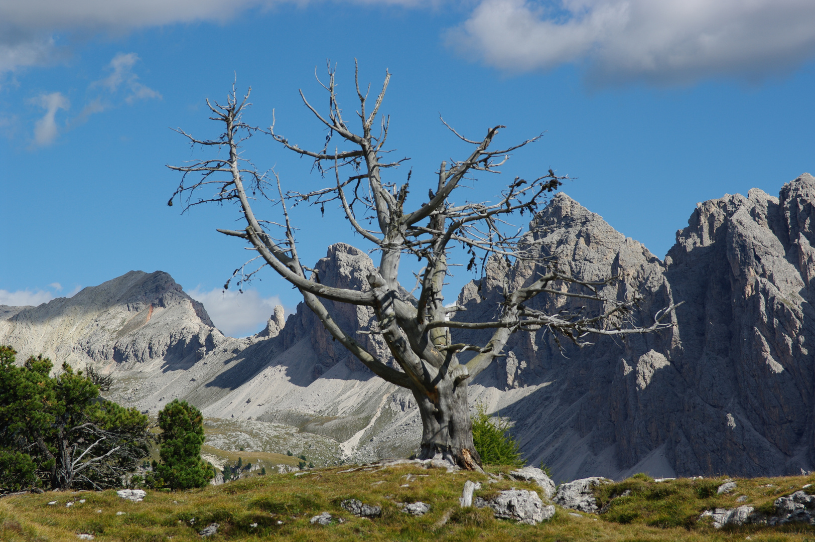 Vom Col Raiser zu Steviahütte III